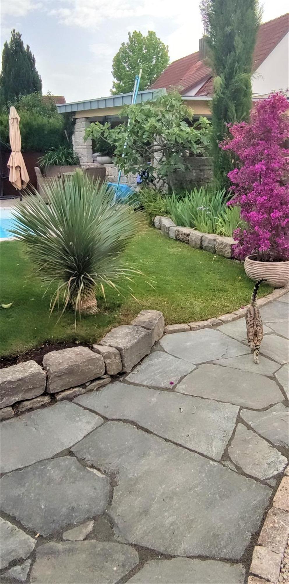 Апартаменти Bel Giardino Фрідріхсгафен Екстер'єр фото